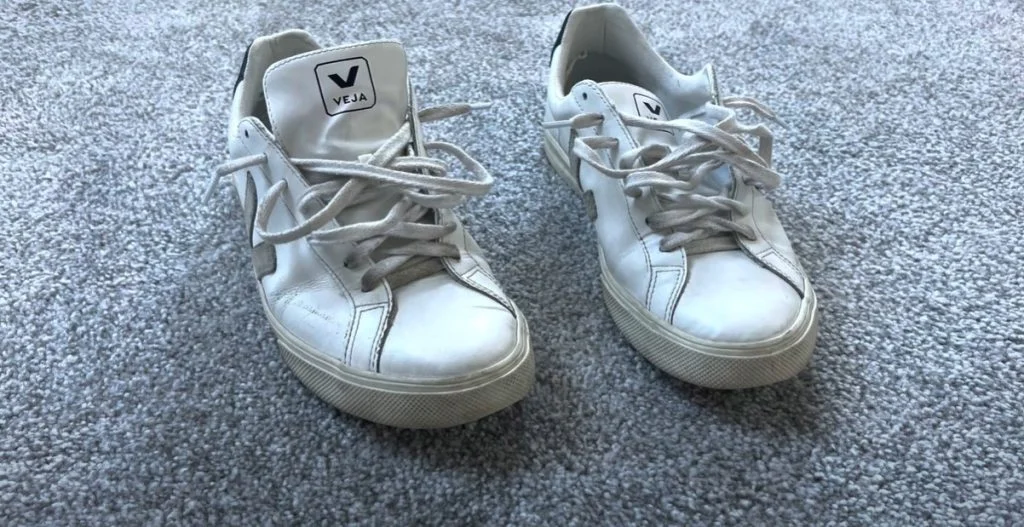 After cleaning Veja sneakers